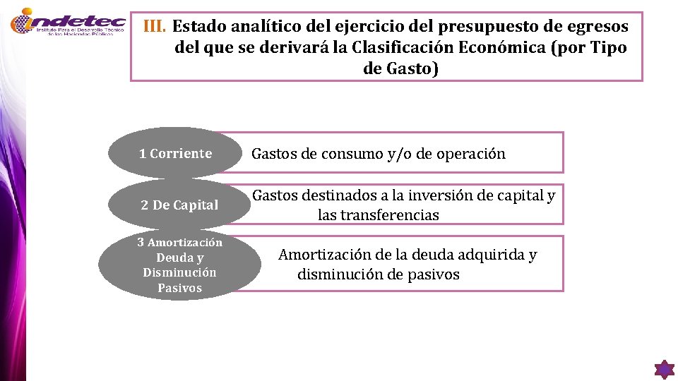 III. Estado analítico del ejercicio del presupuesto de egresos del que se derivará la