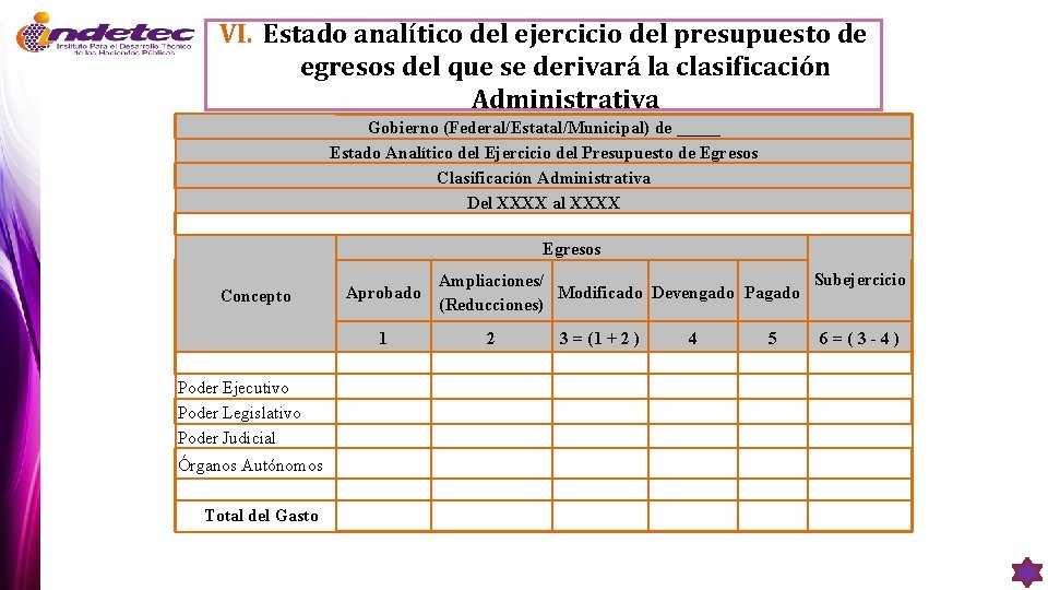 VI. Estado analítico del ejercicio del presupuesto de egresos del que se derivará la