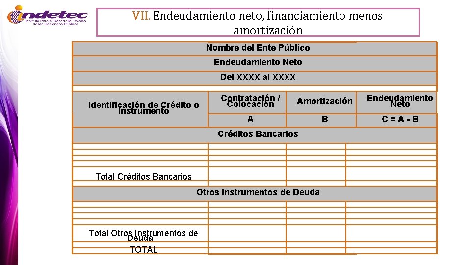 VII. Endeudamiento neto, financiamiento menos amortización Nombre del Ente Público Endeudamiento Neto Del XXXX