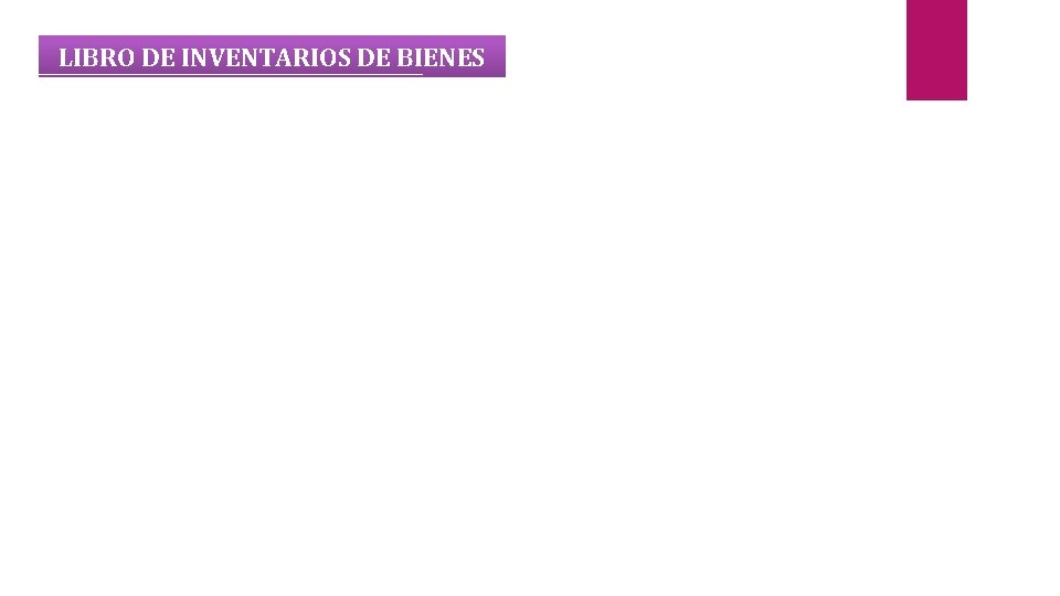 LIBRO DE INVENTARIOS DE BIENES 