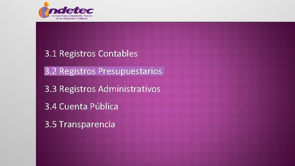 3. 1 Registros Contables 3. 2 Registros Presupuestarios 3. 3 Registros Administrativos 3. 4