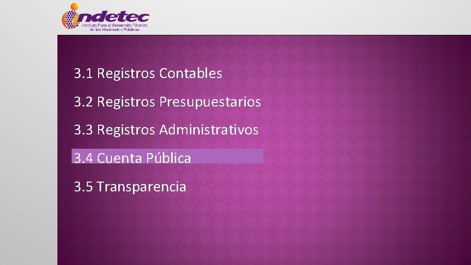 3. 1 Registros Contables 3. 2 Registros Presupuestarios 3. 3 Registros Administrativos 3. 4