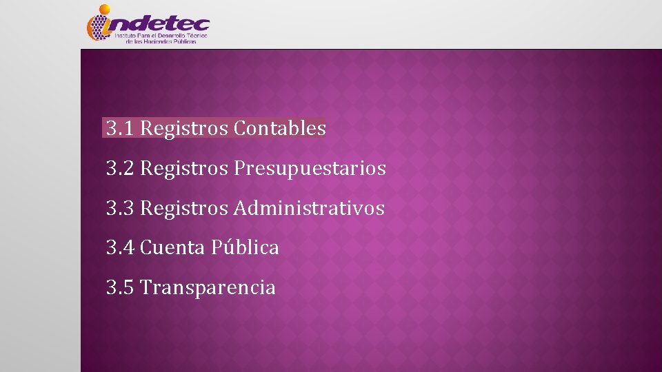 3. 1 Registros Contables 3. 2 Registros Presupuestarios 3. 3 Registros Administrativos 3. 4