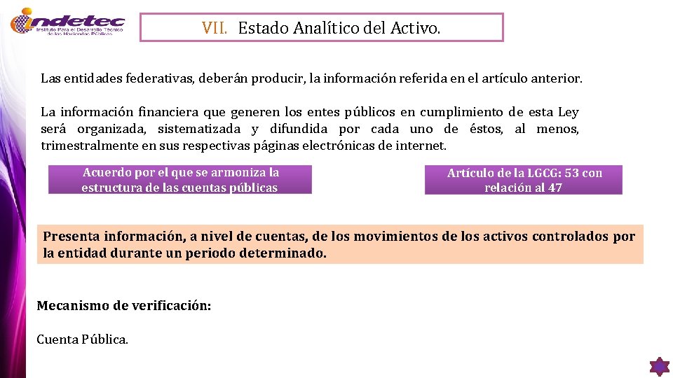 VII. Estado Analítico del Activo. Las entidades federativas, deberán producir, la información referida en