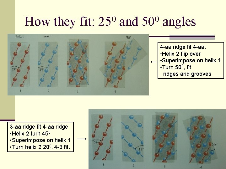 How they fit: 250 and 500 angles 4 -aa ridge fit 4 -aa: •