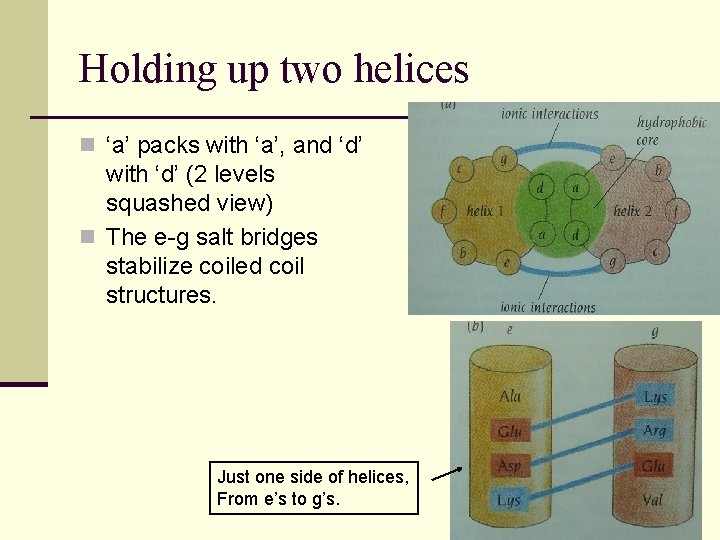 Holding up two helices n ‘a’ packs with ‘a’, and ‘d’ with ‘d’ (2