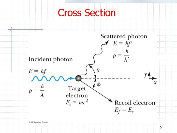 Cross Section 6 