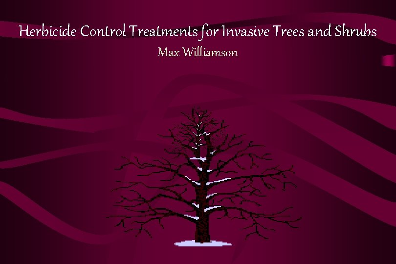 Herbicide Control Treatments for Invasive Trees and Shrubs Max Williamson 