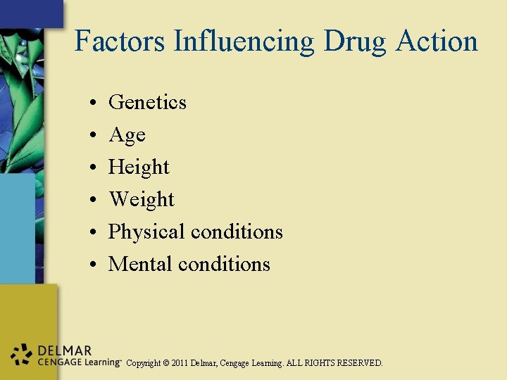 Factors Influencing Drug Action • • • Genetics Age Height Weight Physical conditions Mental