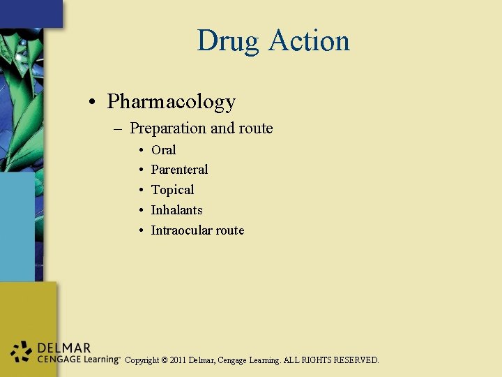 Drug Action • Pharmacology – Preparation and route • • • Oral Parenteral Topical