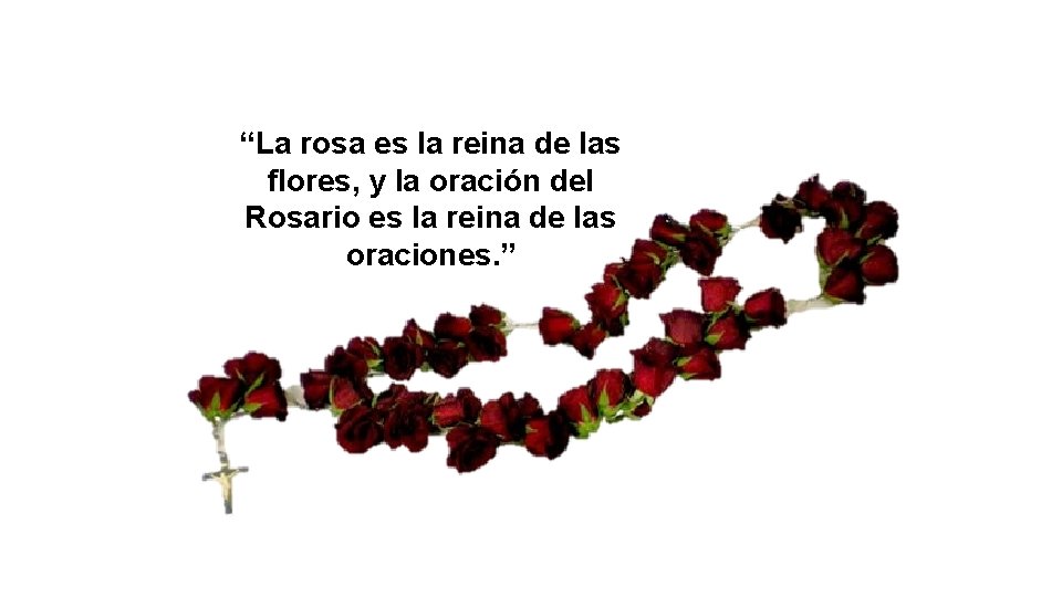 “La rosa es la reina de las flores, y la oración del Rosario es
