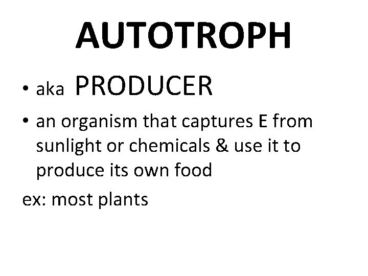 AUTOTROPH • aka PRODUCER • an organism that captures E from sunlight or chemicals