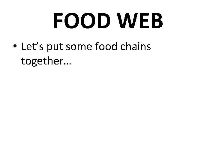 FOOD WEB • Let’s put some food chains together… 