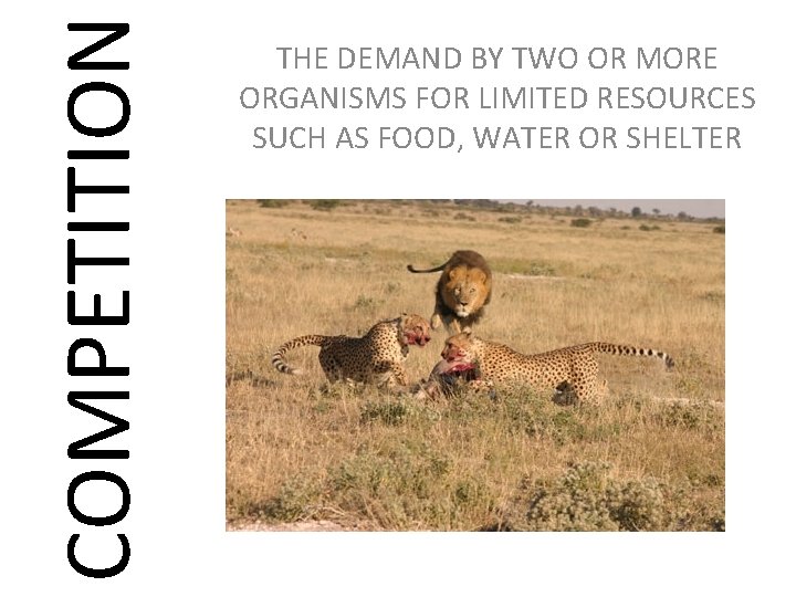 COMPETITION THE DEMAND BY TWO OR MORE ORGANISMS FOR LIMITED RESOURCES SUCH AS FOOD,