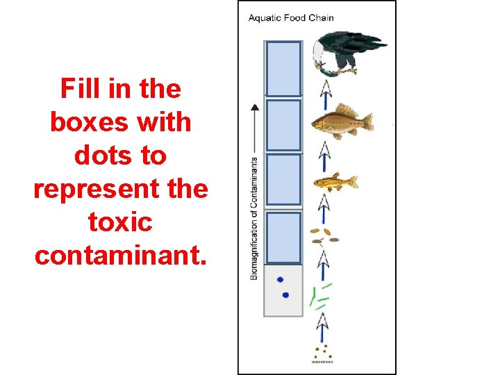 Fill in the boxes with dots to represent the toxic contaminant. 