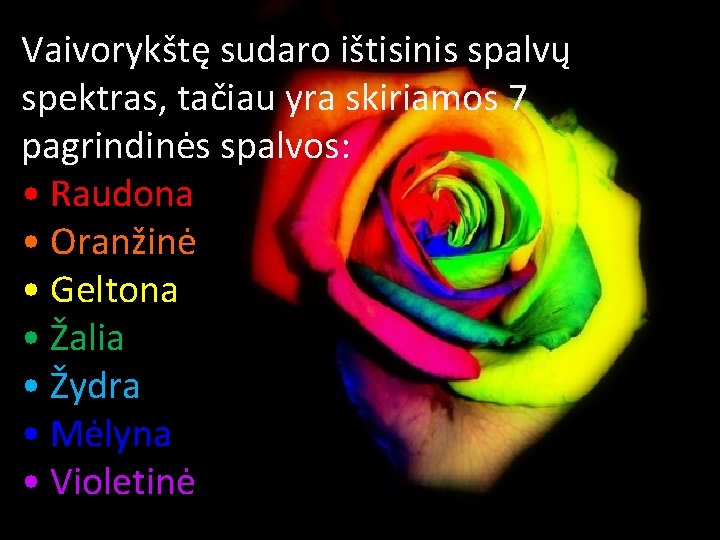 Vaivorykštę sudaro ištisinis spalvų spektras, tačiau yra skiriamos 7 pagrindinės spalvos: • Raudona •