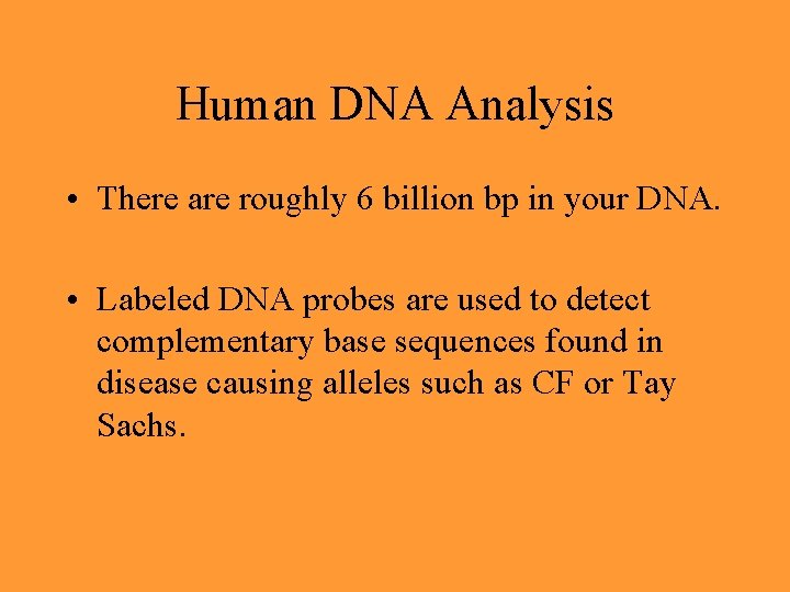 Human DNA Analysis • There are roughly 6 billion bp in your DNA. •