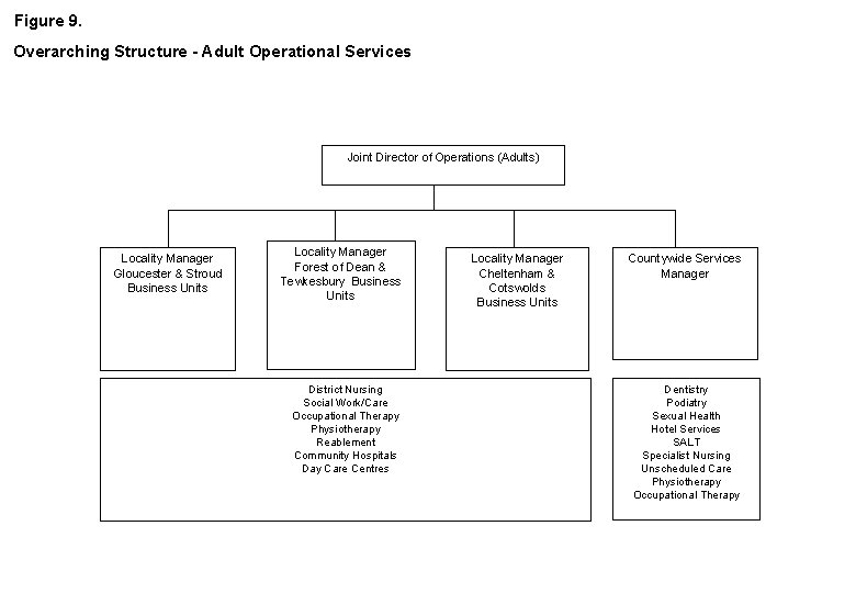 Figure 9. Overarching Structure - Adult Operational Services Joint Director of Operations (Adults) Locality