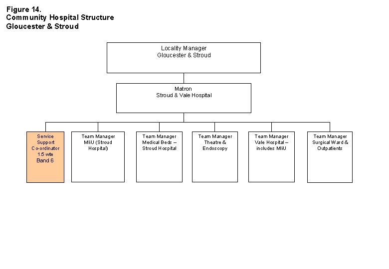 Figure 14. Community Hospital Structure Gloucester & Stroud Locality Manager Gloucester & Stroud Matron