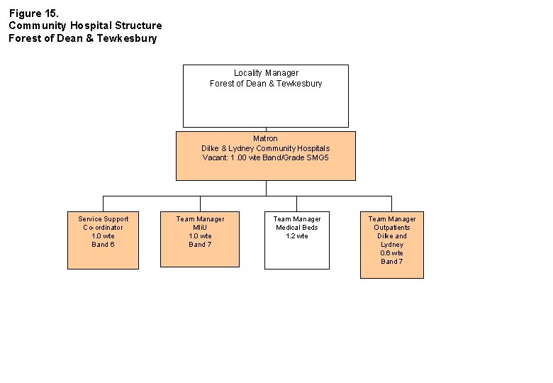Figure 15. Community Hospital Structure Forest of Dean & Tewkesbury Locality Manager Forest of