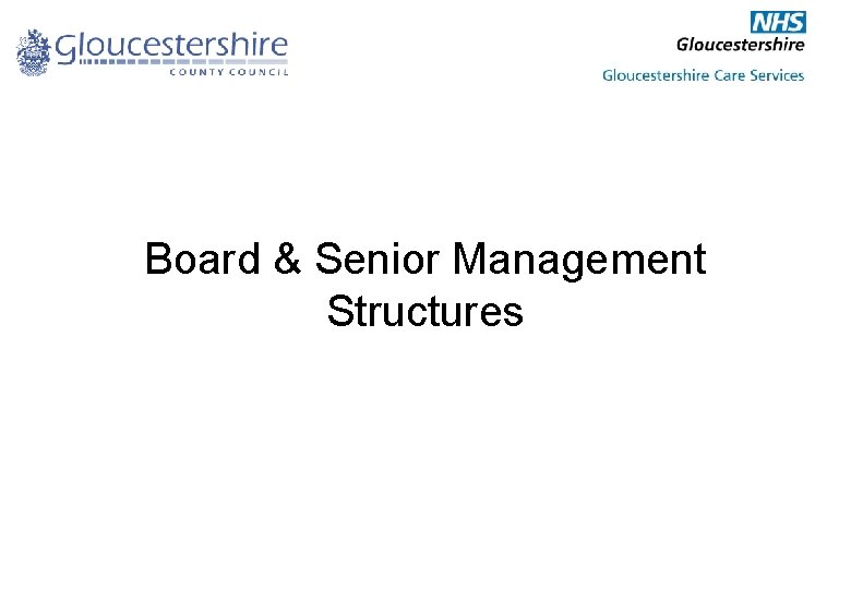 Board & Senior Management Structures 