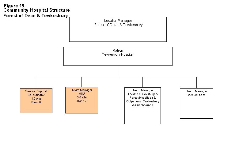 Figure 16. Community Hospital Structure Forest of Dean & Tewkesbury Locality Manager Forest of