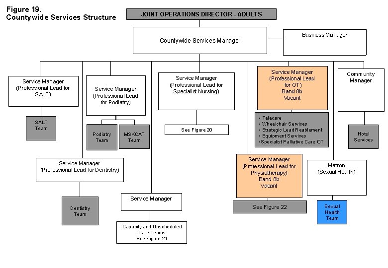 Figure 19. Countywide Services Structure JOINT OPERATIONS DIRECTOR - ADULTS Business Manager Countywide Services