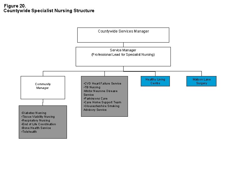 Figure 20. Countywide Specialist Nursing Structure Countywide Services Manager Service Manager (Professional Lead for