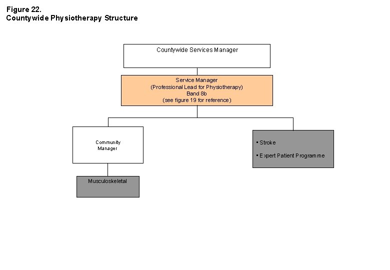 Figure 22. Countywide Physiotherapy Structure Countywide Services Manager Service Manager (Professional Lead for Physiotherapy)