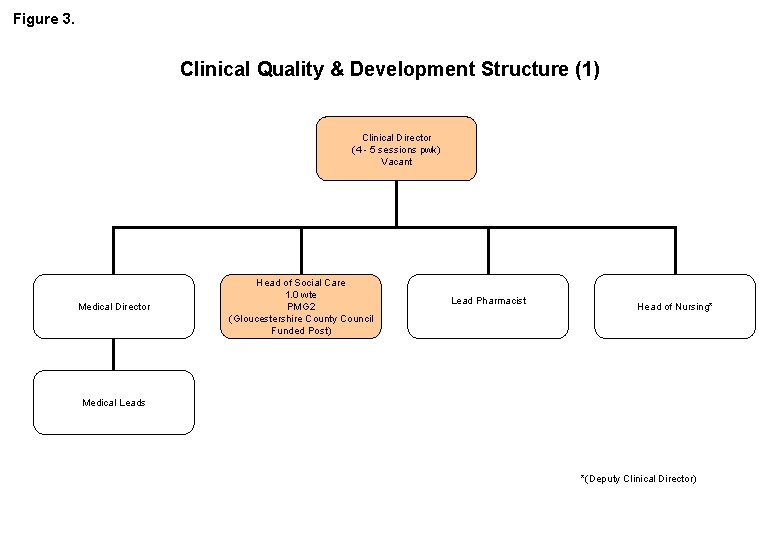 Figure 3. Clinical Quality & Development Structure (1) Clinical Director (4 - 5 sessions