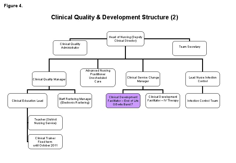 Figure 4. Clinical Quality & Development Structure (2) Head of Nursing (Deputy Clinical Director)