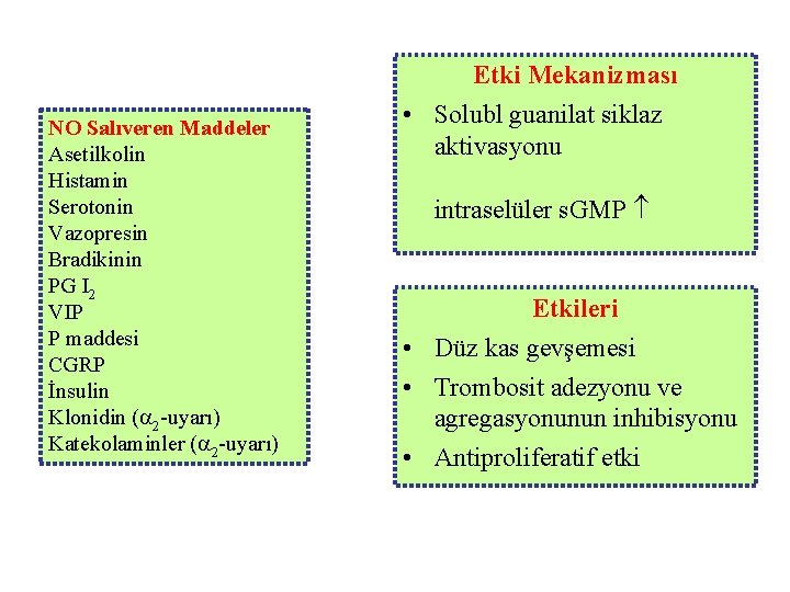 Etki Mekanizması NO Salıveren Maddeler Asetilkolin Histamin Serotonin Vazopresin Bradikinin PG I 2 VIP