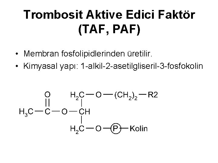 Trombosit Aktive Edici Faktör (TAF, PAF) • Membran fosfolipidlerinden üretilir. • Kimyasal yapı: 1