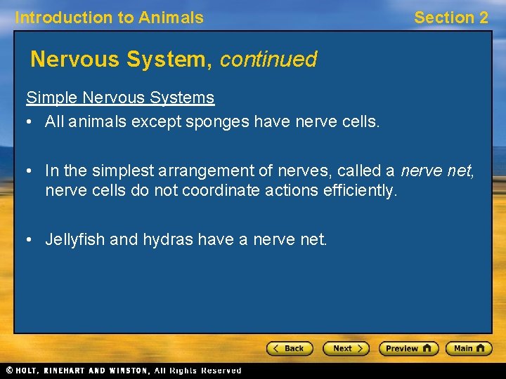 Introduction to Animals Section 2 Nervous System, continued Simple Nervous Systems • All animals