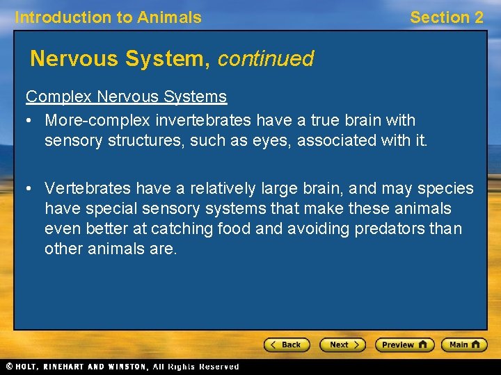 Introduction to Animals Section 2 Nervous System, continued Complex Nervous Systems • More-complex invertebrates