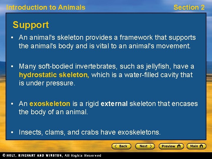 Introduction to Animals Section 2 Support • An animal's skeleton provides a framework that