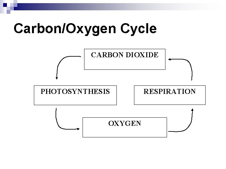 Carbon/Oxygen Cycle CARBON DIOXIDE PHOTOSYNTHESIS OXYGEN RESPIRATION 