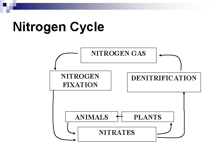 Nitrogen Cycle NITROGEN GAS NITROGEN FIXATION ANIMALS DENITRIFICATION PLANTS NITRATES 