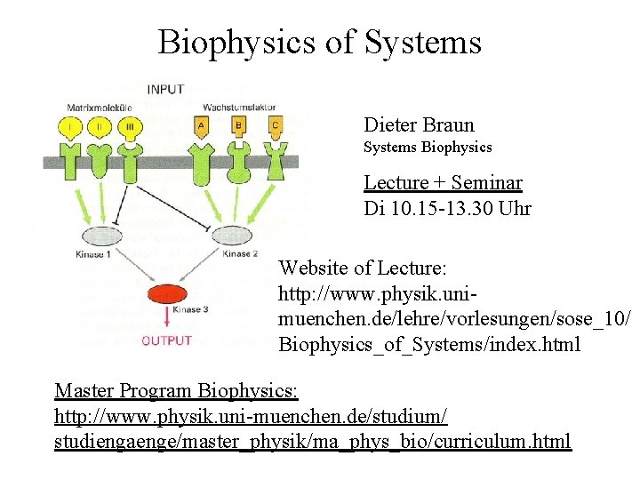 Biophysics of Systems Dieter Braun Systems Biophysics Lecture + Seminar Di 10. 15 -13.