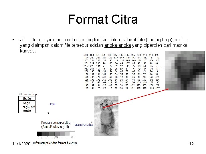 Format Citra • Jika kita menyimpan gambar kucing tadi ke dalam sebuah file (kucing.