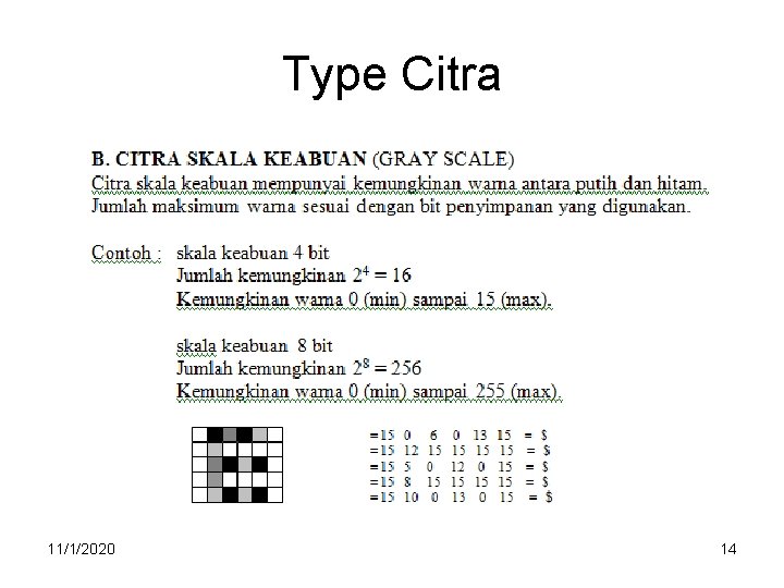 Type Citra 11/1/2020 14 