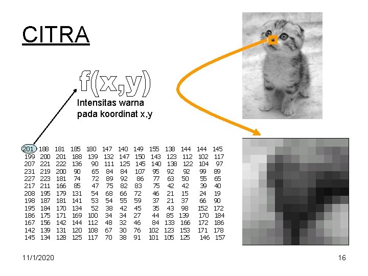 CITRA Intensitas warna pada koordinat x, y 201 199 207 231 227 217 208