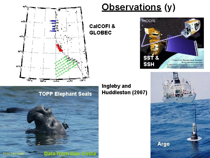 Observations (y) Cal. COFI & GLOBEC SST & SSH TOPP Elephant Seals Ingleby and