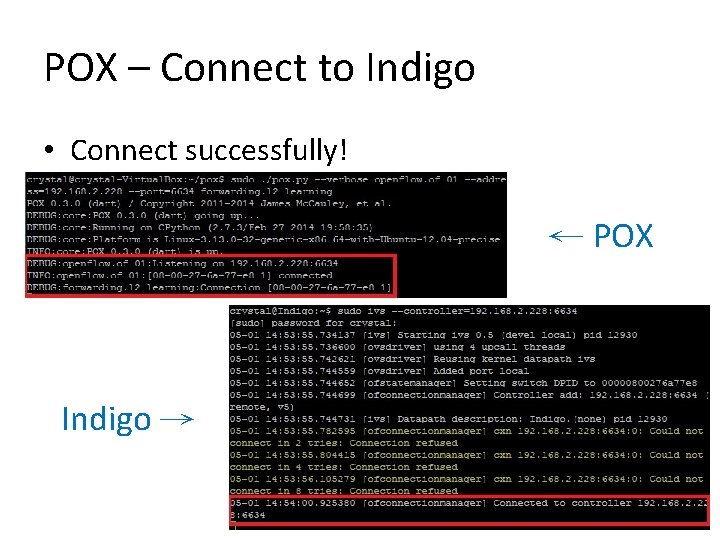 POX – Connect to Indigo • Connect successfully! ← POX Indigo → 