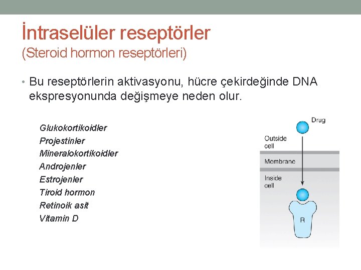 İntraselüler reseptörler (Steroid hormon reseptörleri) • Bu reseptörlerin aktivasyonu, hücre çekirdeğinde DNA ekspresyonunda değişmeye