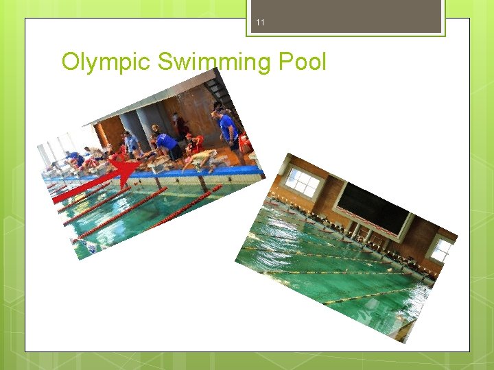 11 Olympic Swimming Pool 