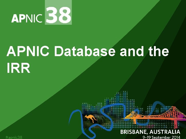 APNIC Database and the IRR 