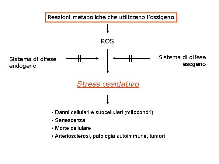 Reazioni metaboliche utilizzano l’ossigeno ROS Sistema di difese esogeno Sistema di difese endogeno Stress