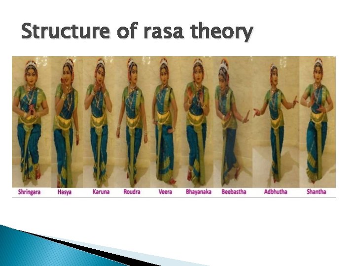 Structure of rasa theory 