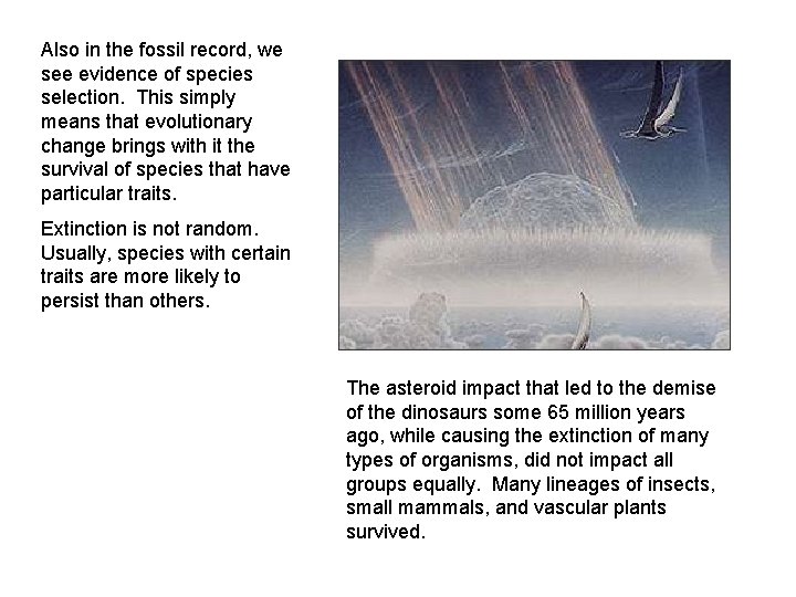 Also in the fossil record, we see evidence of species selection. This simply means